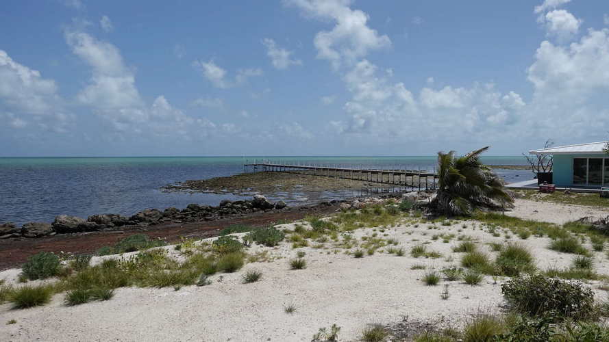 MIA_2023-08-14 14-47-47_RX_06089